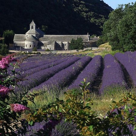 Вилла La Calvinette Перн-ле-Фонтен Экстерьер фото